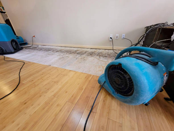 Professional Flood Damage Cleanup technician working in Caledonia, MI